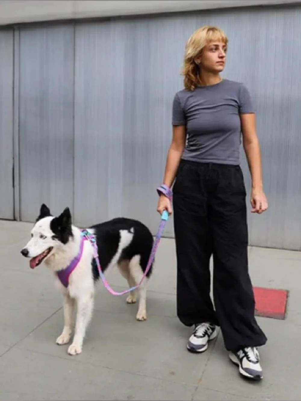 🍬 Zee.Dog NitLeash ~ Candy